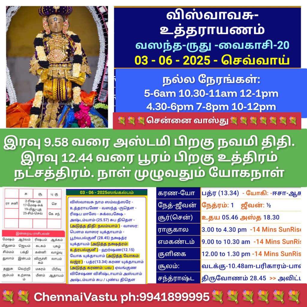 1000658582
